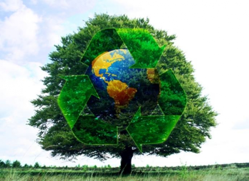 Jesmo promove plantio de árvores do projeto Carbono Zero